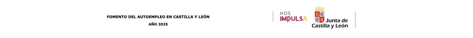 Fomento del autoempleo en Castilla y León